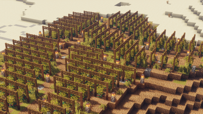 Файл:Виноградные поля в Лаамрине.png