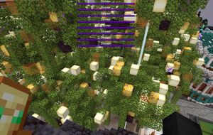 Скриншот игрока Kanamori Arice.jpg